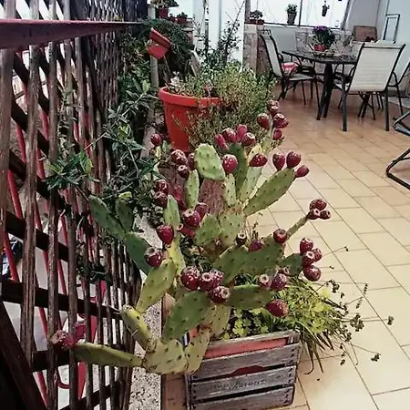 Penthouse In Area With Very Large Terrace Apartment *